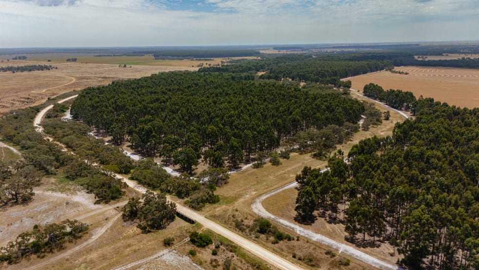 Coles SA 5272 - Image 2