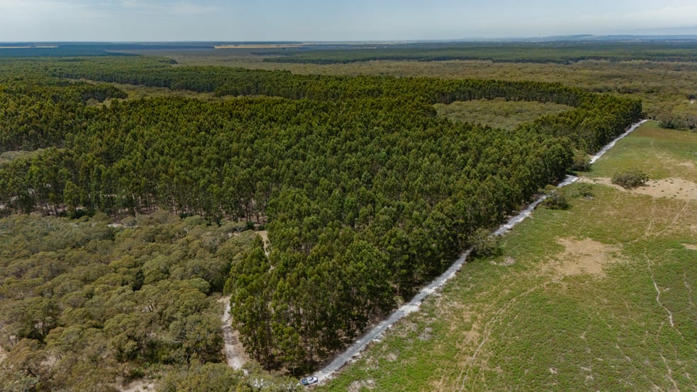 1830 Wattle Range Road Wattle Range SA 5280 - Image 1