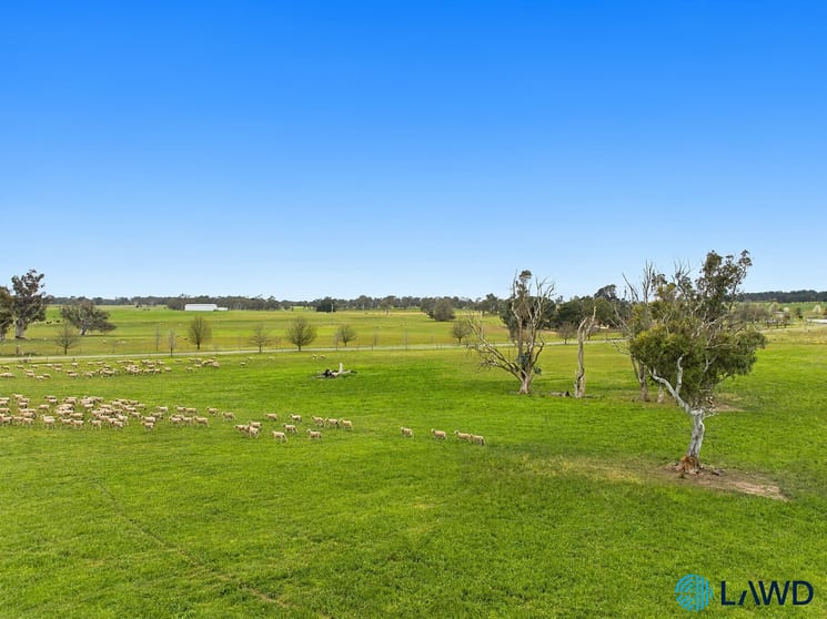 726 Goulburn Road Boro NSW 2622 - Image 3