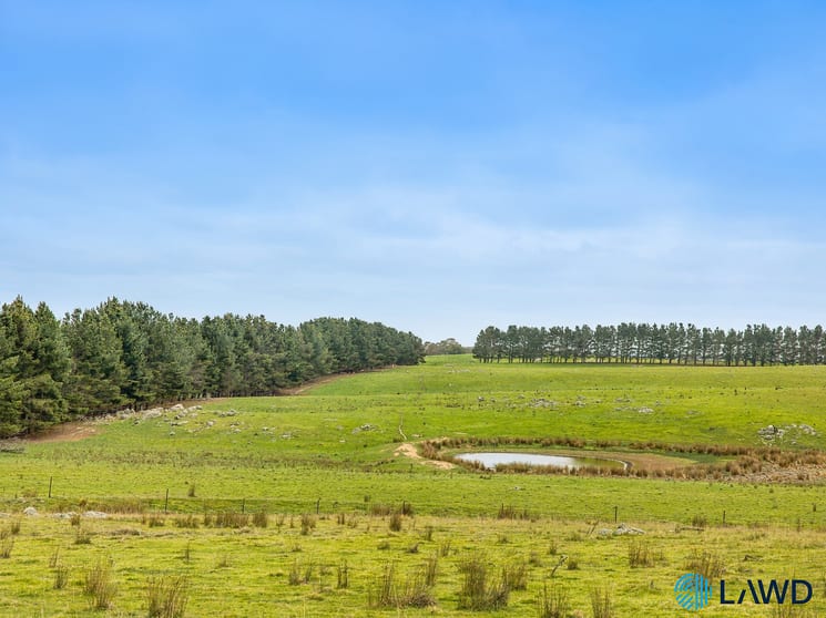 726 Goulburn Road Boro NSW 2622 - Image 5