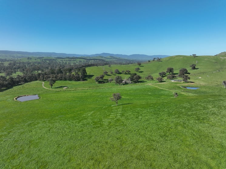 5695 Melba Highway Yea VIC 3717 - Image 1