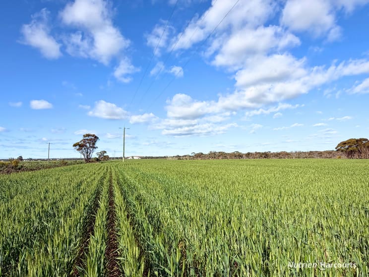 Click to view all images Lot 601 Goldfields Road Merredin WA 6415 - Image 2