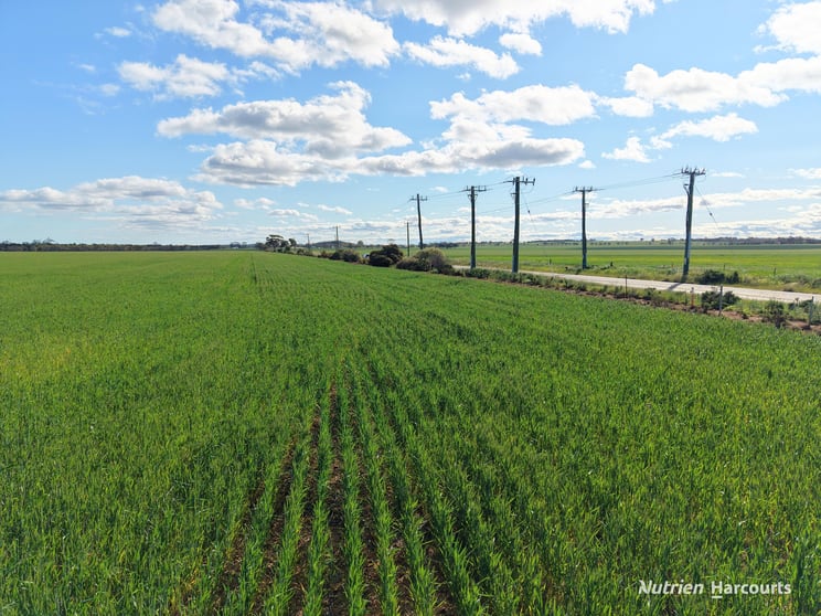 Click to view all images Lot 601 Goldfields Road Merredin WA 6415 - Image 3