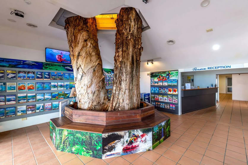 Click to view all images Palm Cove QLD 4879 - Image 3