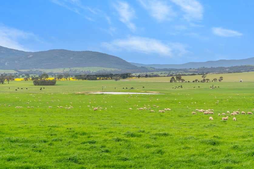 47 Price Road Ballyrogan VIC 3375 - Image 5