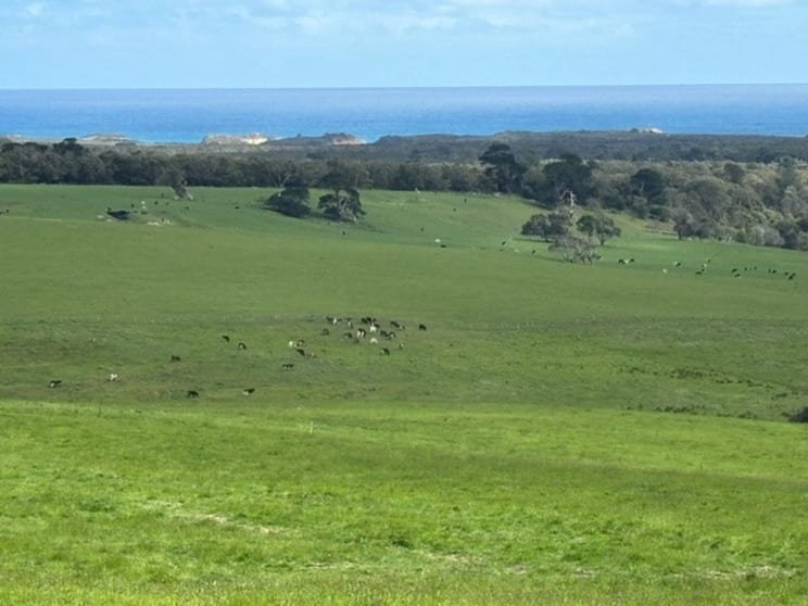 Lochs Road Port Campbell VIC 3269 - Image 1
