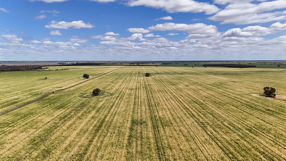 815 Murrays Road Moree NSW 2400 - Image 5