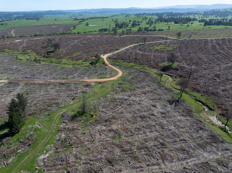 34 Ikes Mountain Road Mannus NSW 2653 - Image 5