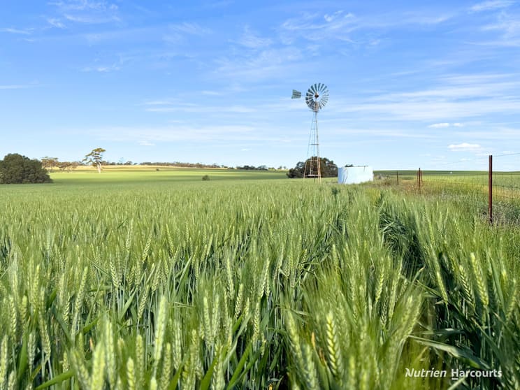 Click to view all images "Mirrabinda" Lot 3882 Brooksbank Road Cunjardine WA 6401 - Image 2