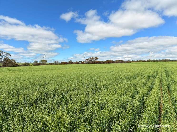 Click to view all images "Windfarm" Lot 20762 Springwell Valley Road South Burracoppin WA 6421 - Image 2