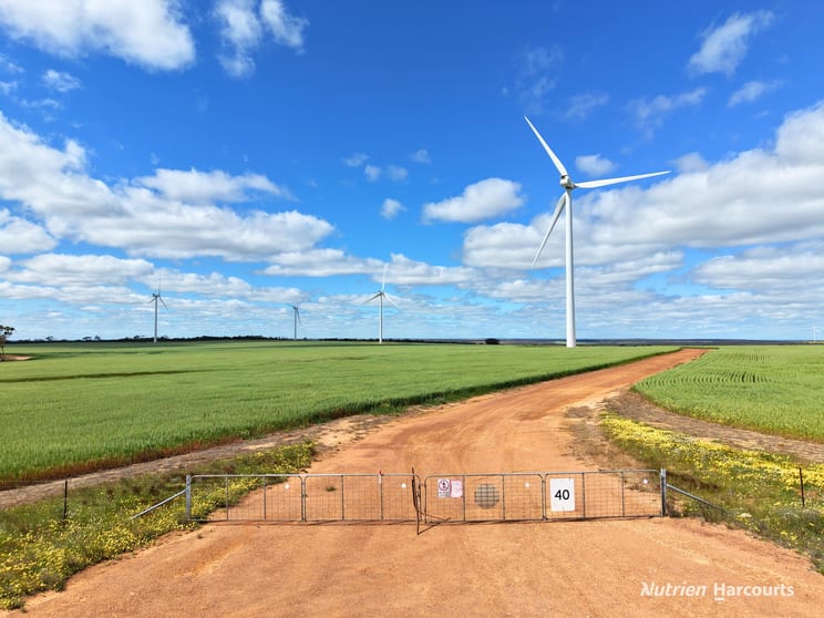 Click to view all images "Windfarm" Lot 20762 Springwell Valley Road South Burracoppin WA 6421 - Image 3