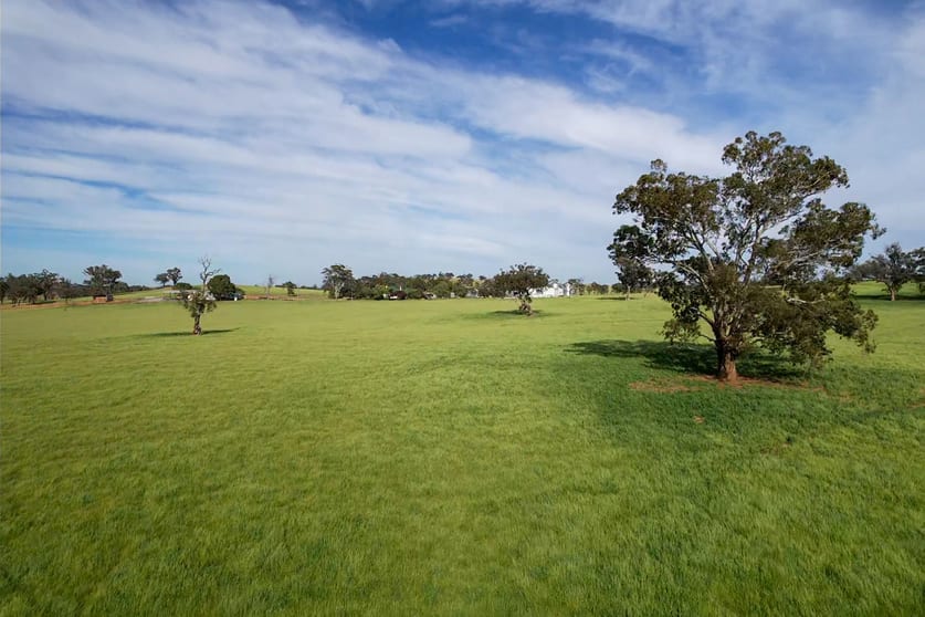 Click to view all images Cootamundra NSW 2590 - Image 4
