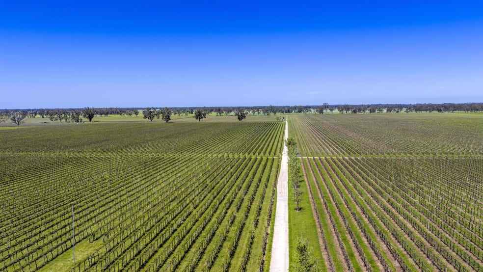 963 Rowney Road Mundulla SA 5270 - Image 2