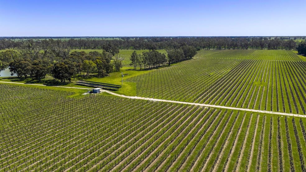 963 Rowney Road Mundulla SA 5270 - Image 4