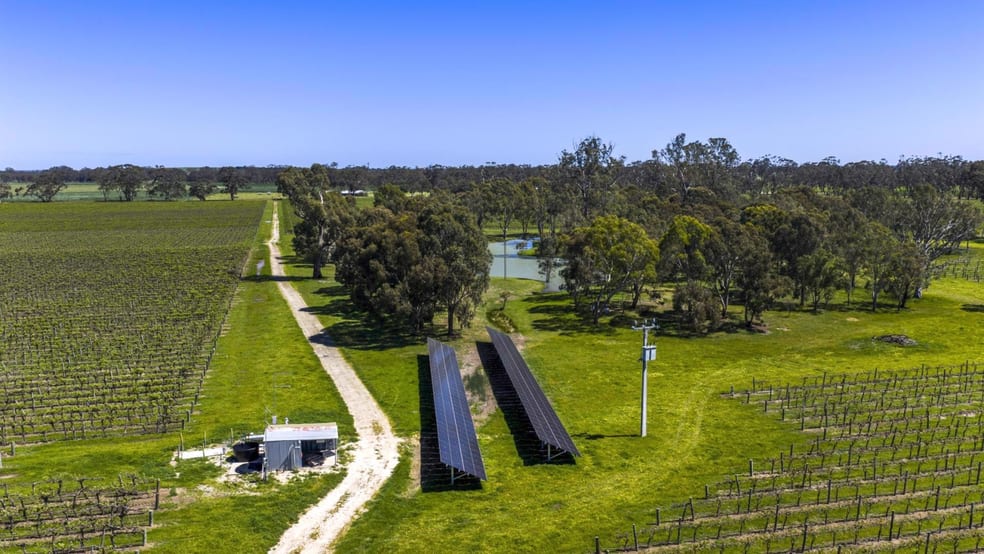 963 Rowney Road Mundulla SA 5270 - Image 5
