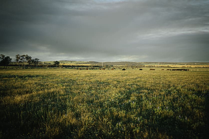 Click to view all images 536 Nine Mile Swamp Road Beermullah WA 6503 - Image 4