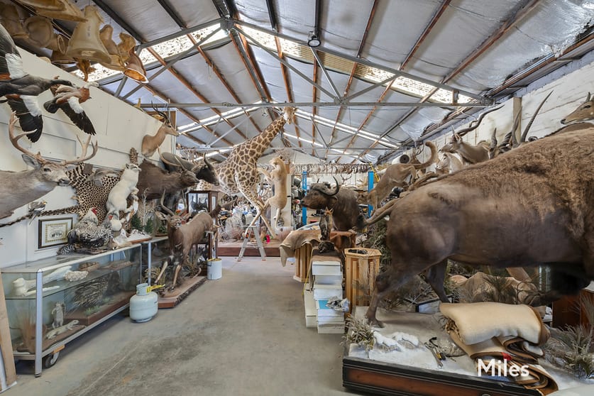 Click to view all images 27 Mologa Road Heidelberg West VIC 3081 - Image 3