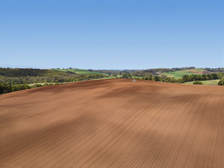 Click to view all images 86 Rothwells Road Sisters Creek TAS 7325 - Image 4