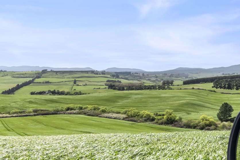 Click to view all images 455 White Hills Road White Hills TAS 7258 - Image 3
