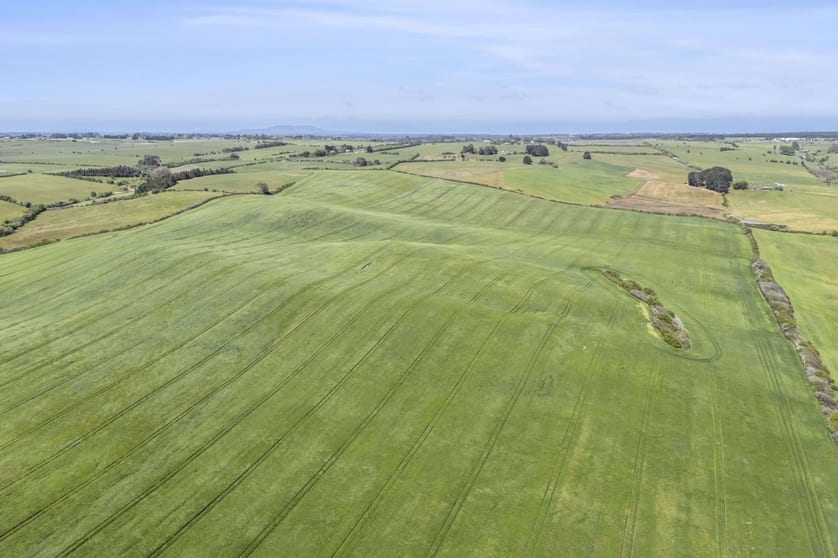 Click to view all images 455 White Hills Road White Hills TAS 7258 - Image 4