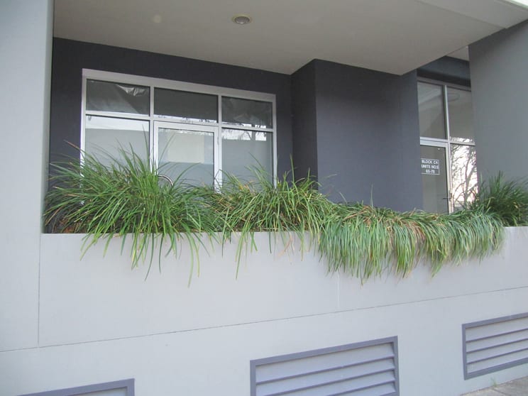 Click to view all images Shop L, 1 Shirley Street Alexandria NSW 2015 - Image 1