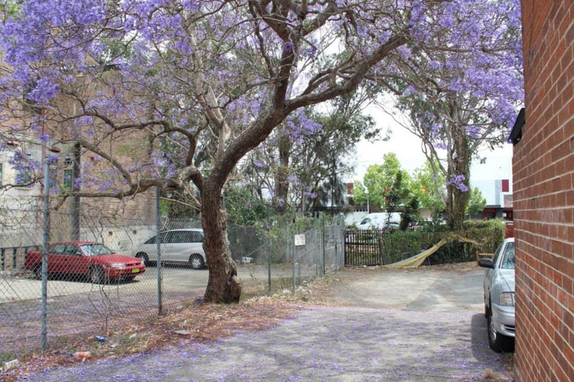 227 Merrylands Road Merrylands NSW 2160 - Image 2