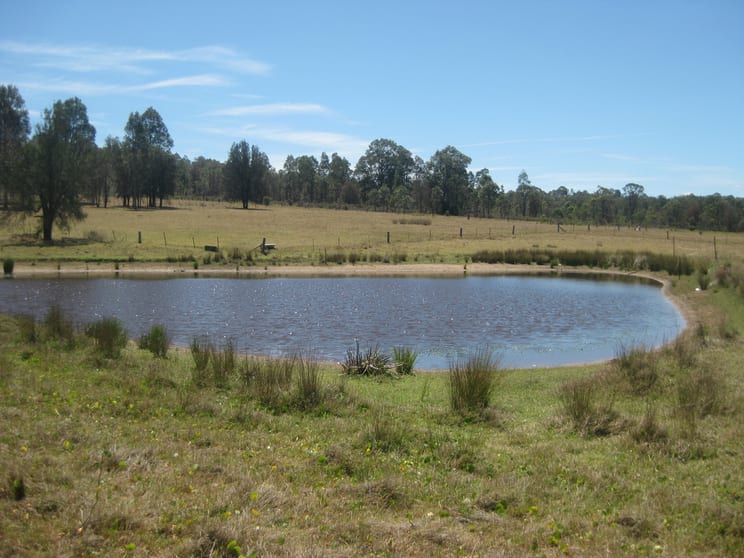 Click to view all images 181 Dalwood Road Branxton NSW 2335 - Image 2