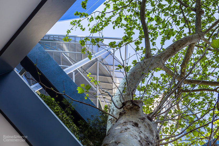 Click to view all images Level 4/73 Walker Street North Sydney NSW 2060 - Image 2