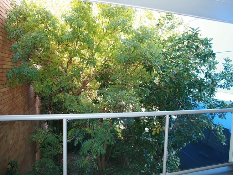 Click to view all images 3/173 Hume Street Toowoomba City QLD 4350 - Image 3