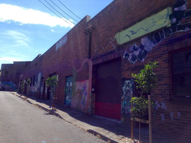 Click to view all images 12 Hutchinson Street St Peters NSW 2044 - Image 2