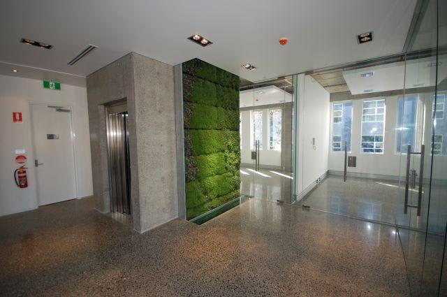 102/441-449 Elizabeth Street Street Surry Hills NSW 2010 - Image 3