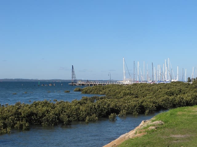 Click to view all images 29 Marine Pde Hastings VIC 3915 - Image 2
