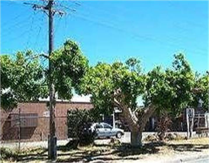 Click to view all images 2/9 Milford Street East Victoria Park WA 6101 - Image 1