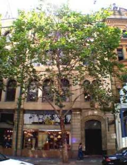 20 York Street Sydney NSW 2000 - Image 3