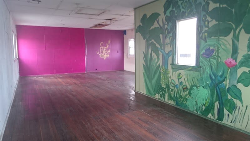 Click to view all images 12 Hutchinson Street St Peters NSW 2044 - Image 3