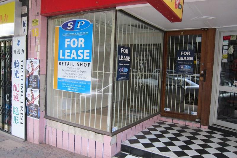 18 Hercules Street Ashfield NSW 2131 - Image 3