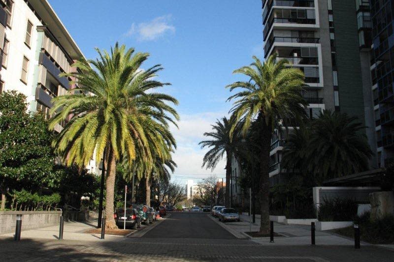 Click to view all images 68/8 Alexandra Drive Camperdown NSW 2050 - Image 1