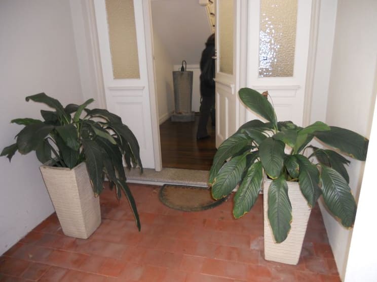 Click to view all images Level 1/328 Bronte Rd Waverley NSW 2024 - Image 3