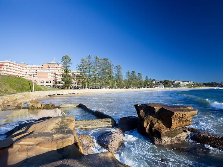 Click to view all images SHOPS 2 & 3 Pine Tree Lane Terrigal NSW 2260 - Image 3