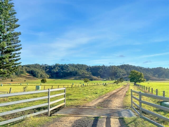 Click to view all images 849 Wiangaree Back Road Kyogle NSW 2474 - Image 3