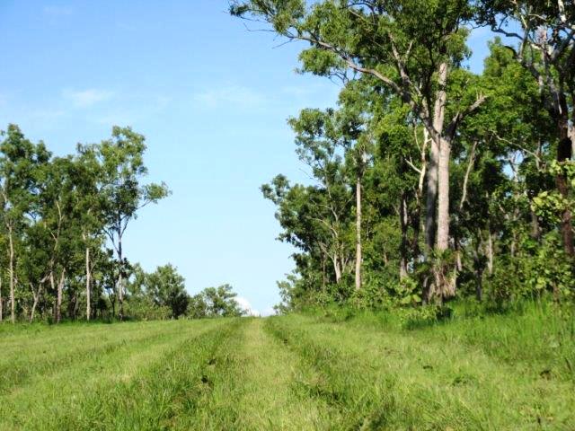 Click to view all images Lot 1268 Coach Road Batchelor NT 0845 - Image 3