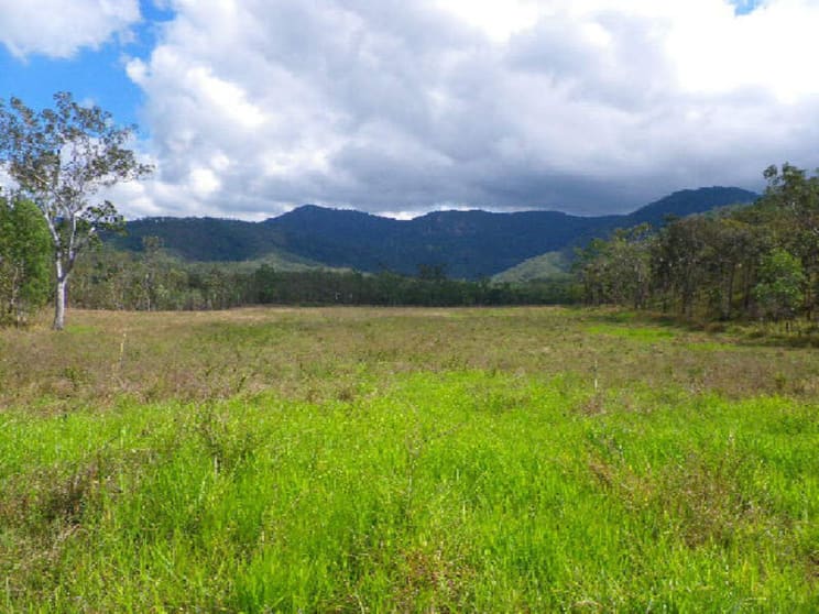 Click to view all images Lot 6 Thomson's Road Upper Stone QLD 4850 - Image 1
