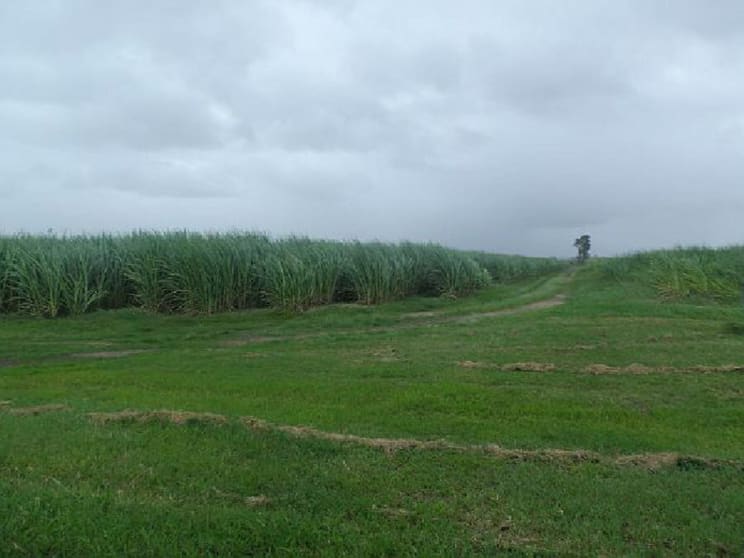Click to view all images 60 Taylors Beach Road Halifax QLD 4850 - Image 2