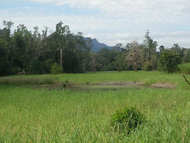 Click to view all images 11 Coldwater Road Abergowrie QLD 4850 - Image 3