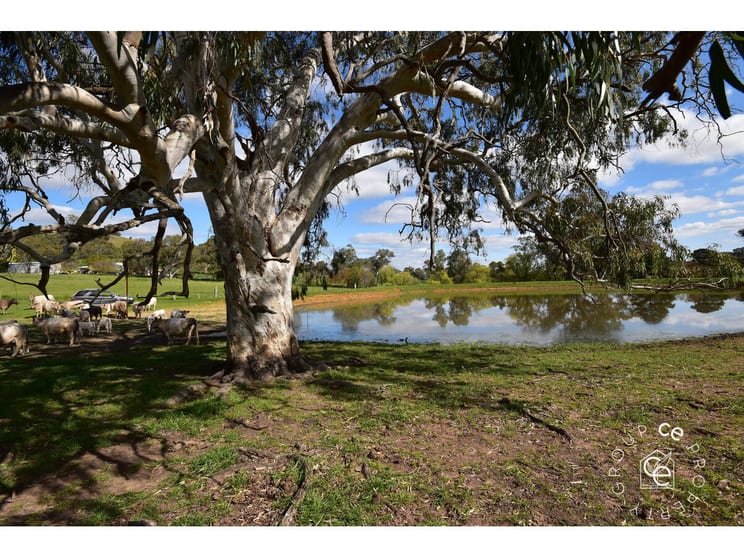Click to view all images Sampson Flat SA 5114 - Image 1