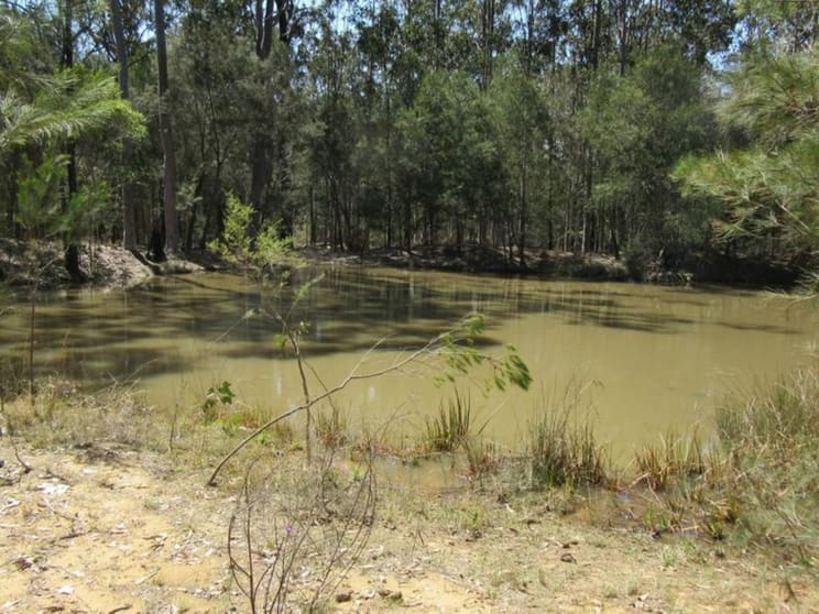 Click to view all images 3560 Bungawalbin-Whiporie Road Whiporie NSW 2469 - Image 3