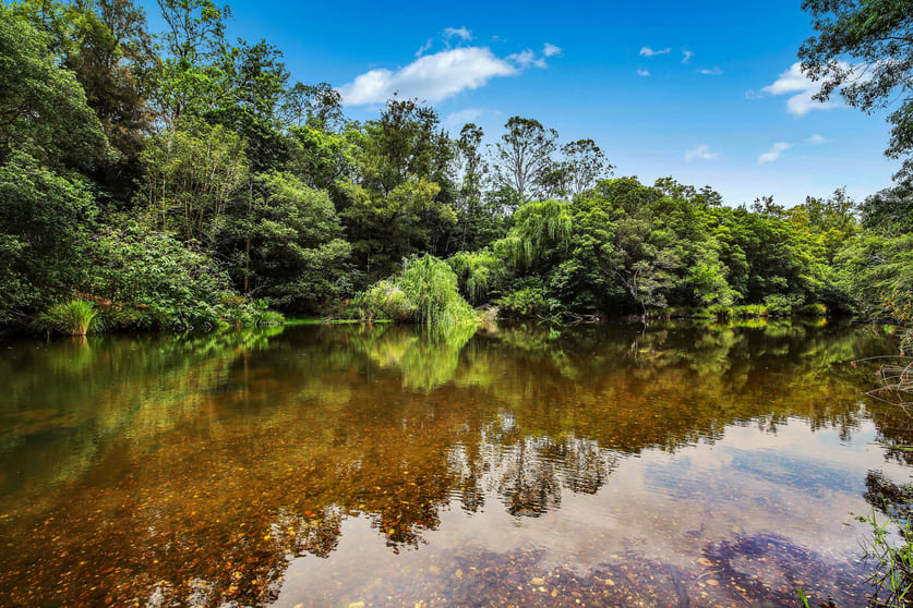 Click to view all images Lot 11 Wallis Road Ellenborough NSW 2446 - Image 2
