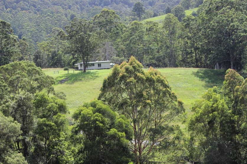 Click to view all images Bellangry Road Bellangry NSW 2446 - Image 1
