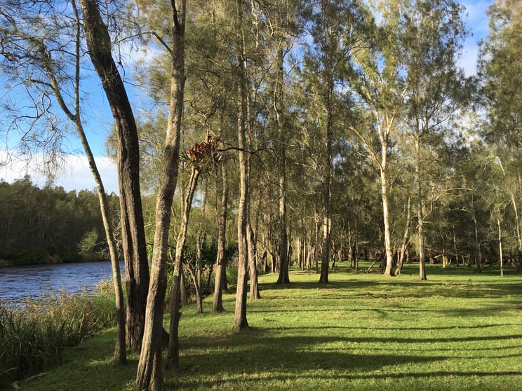 Click to view all images Lot 8 Haydons Wharf Road Cooperabung NSW 2441 - Image 1