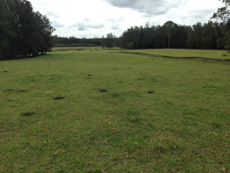 Click to view all images Lot 8 Haydons Wharf Road Cooperabung NSW 2441 - Image 3